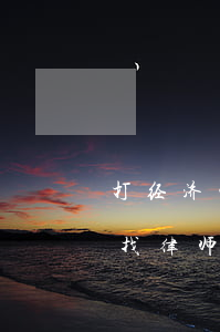 打经济官司的律师学啥专业(请问经济纠纷先找律师还是直接去法院)
