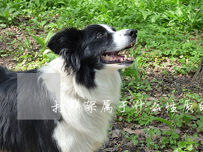 打群架属于什么性质的案件（打群架怎么判刑）