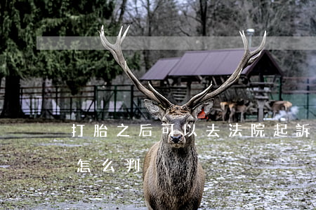 打胎之后可以去法院起訴他嗎(打胎法院一般怎么判)