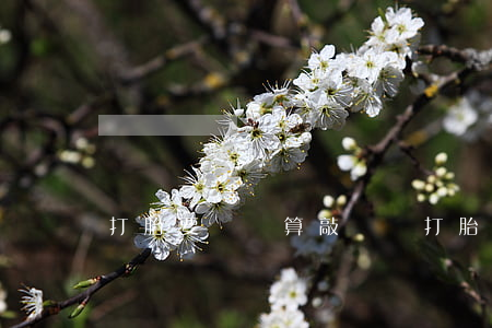 打胎要賠償算敲詐嗎(打胎可以索要賠償嗎)