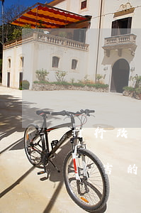 打行政訴訟最厲害的律師 寧波(打行政訴訟最厲害的律師 寧波)