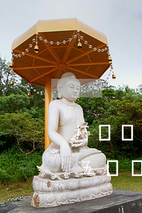 打贏債權(quán)債務(wù)官司，這五種證據(jù)必不可少！