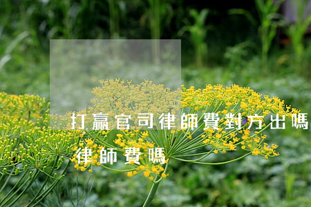 打贏官司律師費對方出嗎(官司打不贏還要給律師費嗎)