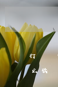 打車禍官司律師費多少錢(律師打車禍官司怎么收費)