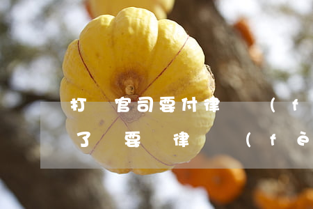 打輸官司要付律師費(fèi)嗎(打官司輸了還要給律師費(fèi)嗎)