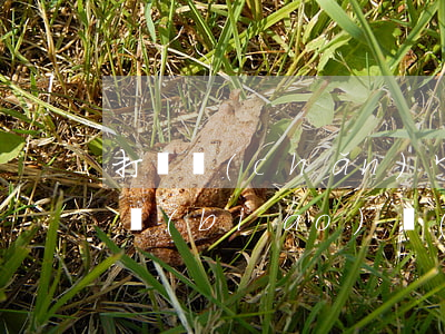 打遺產(chǎn)官司訴訟費(fèi)標(biāo)準(zhǔn)是多少(家庭遺產(chǎn)官司一般訴訟費(fèi)多少?)
