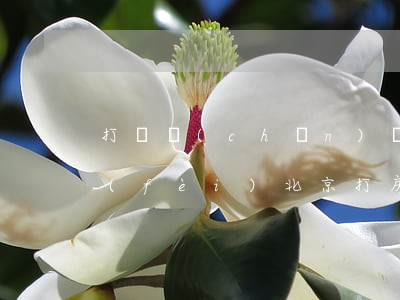打遺產(chǎn)繼承官司律師怎么收費(fèi)北京(打房產(chǎn)繼承官司律師收費(fèi)標(biāo)準(zhǔn)是多少)