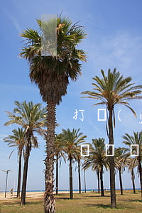 打醫(yī)療糾紛官司的律師(醫(yī)療糾紛官司能打贏嗎)