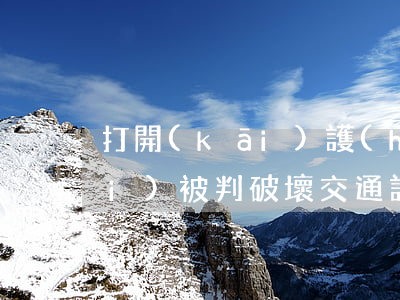 打開(kāi)護(hù)欄助逃費(fèi)被判破壞交通設(shè)施罪典型案例一審裁判文書(shū)