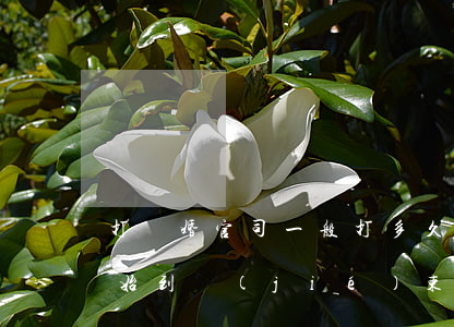 打離婚官司一般打多久(離婚打官司開庭從開始到結(jié)束需要多久)