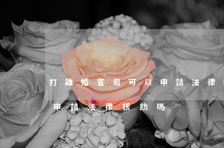 打離婚官司可以申請法律援助嗎(離婚案可以申請法律援助嗎)