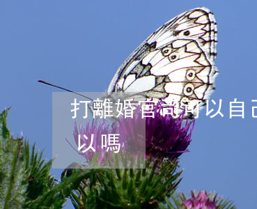 打離婚官司可以自己上嗎(離婚起訴自己去可以嗎)