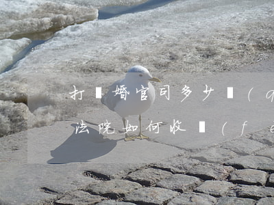 打離婚官司多少錢(qián)(打離婚官司法院如何收費(fèi))