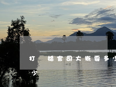 打離婚官司大概要多少錢(離婚打官司的要多少錢)