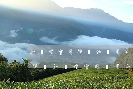 打離婚官司律師的費用是多少贏了誰出錢(請律師打離婚官司費用大概需要多少)
