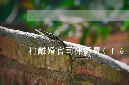 打離婚官司律師費(fèi)誰出