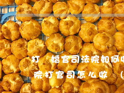 打離婚官司法院如何收費(fèi)，離婚法院打官司怎么收費(fèi)標(biāo)準(zhǔn)