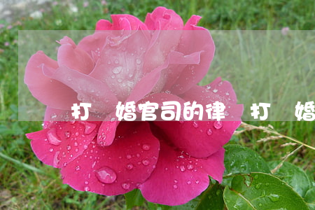 打離婚官司的律師(打離婚官司的律師)