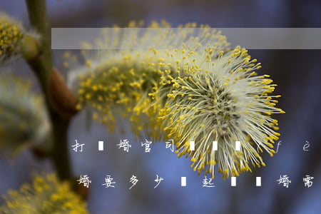 打離婚官司訴訟費(fèi)多少錢(訴訟離婚要多少錢起訴離婚需要多少錢)