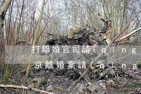打離婚官司請(qǐng)律師要多少錢南京(離婚案請(qǐng)律師大概多少錢)