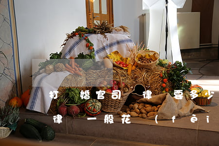 打離婚官司請律師要多少錢南京(離婚官司請律師一般花費(fèi)多少錢)