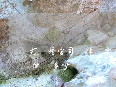 打離婚官司請律師要多少錢平泉(離婚訴訟請律師多少錢)