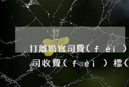 打離婚官司費(fèi)用多少(一般離婚官司收費(fèi)標(biāo)準(zhǔn))