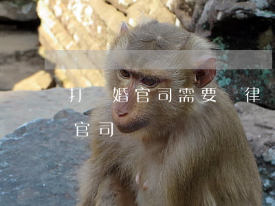 打離婚官司需要請律師嗎(離婚怎么請律師打官司)