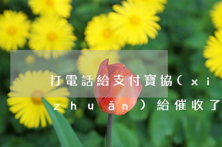 打電話給支付寶協(xié)商還款說轉(zhuǎn)給催收了-打電話給支付寶協(xié)商還款,說轉(zhuǎn)給催收了