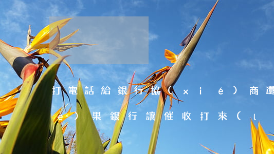 打電話給銀行協(xié)商還款結(jié)果銀行讓催收打來(lái)-打電話給銀行協(xié)商還款,說(shuō)轉(zhuǎn)給催收了