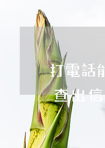 打電話能查出信用卡欠多少錢嗎-打電話能查出信用卡欠多少錢嗎怎么查
