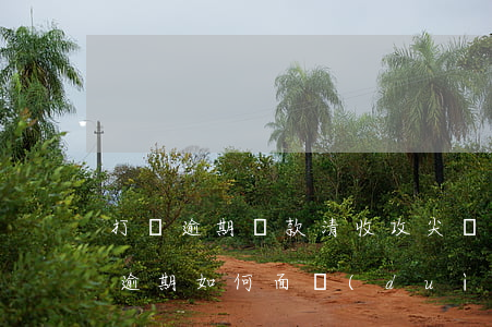 打響逾期貸款清收攻尖戰(zhàn)(貸款逾期如何面對(duì)催收)