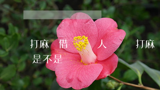 打麻將借錢給別人會輸嗎(打麻將借錢給別人是不是會輸錢)