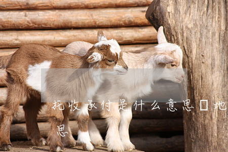 托收承付是什么意思,異地托收承付是什么意思 托收承付是什么意思,異地托收承付是什么意思