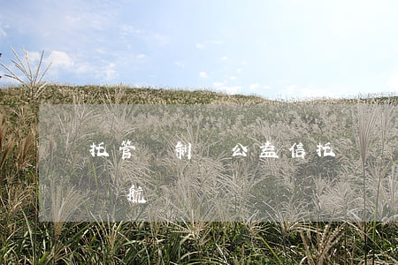 托管機制為公益信托財產(chǎn)保駕護航