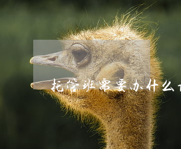 托管班需要办什么证件