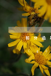 扣分逾期一個(gè)月有影響嗎 逾期一個(gè)月扣多少信用分