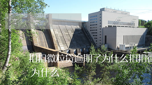 扣扣微粒贷逾期了为什么(扣扣微粒贷逾期了为什么)