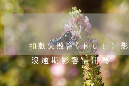 扣款失敗會(huì)影響信用嗎（扣款失敗沒逾期影響信用嗎）