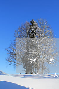 扣軟失敗第二天主動還款算逾期嗎-扣款失敗當天手動還款算逾期嗎