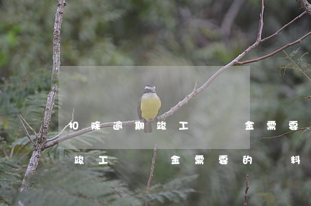 扣除逾期竣工違約金需要的資料-扣除逾期竣工違約金需要的資料有哪些