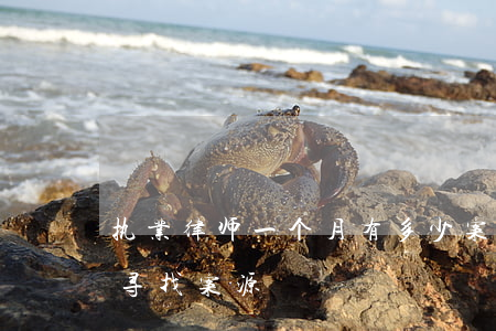 执业律师一个月有多少案源(新执业律师如何寻找案源)