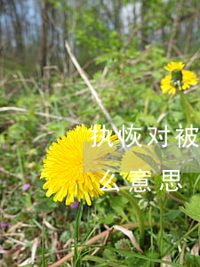 执恢对被执行人意味着什么(执行案件执恢什么意思)