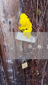 执恢是什么意思