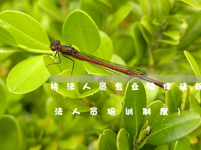 执法人员专业法律法规培训(什么是行政执法人员培训制度)
