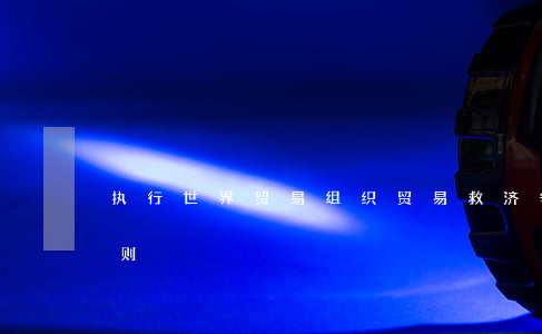 执行世界贸易组织贸易救济争端裁决暂行规则