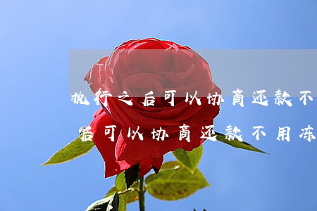 执行之后可以协商还款不用冻结吗-执行之后可以协商还款不用冻结吗