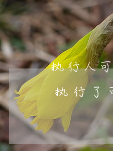 执行人可以申请法院出协助调查令吗(被法院执行了可以联系法院协商吗)
