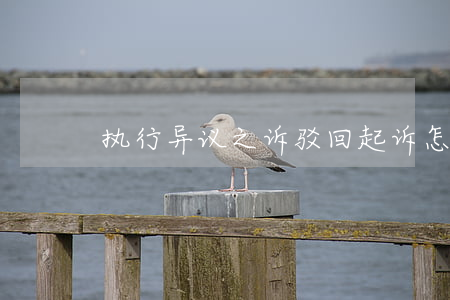 执行异议之诉驳回起诉怎么办