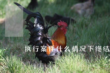 执行案件什么情况下终结 执行案件什么情况下终结